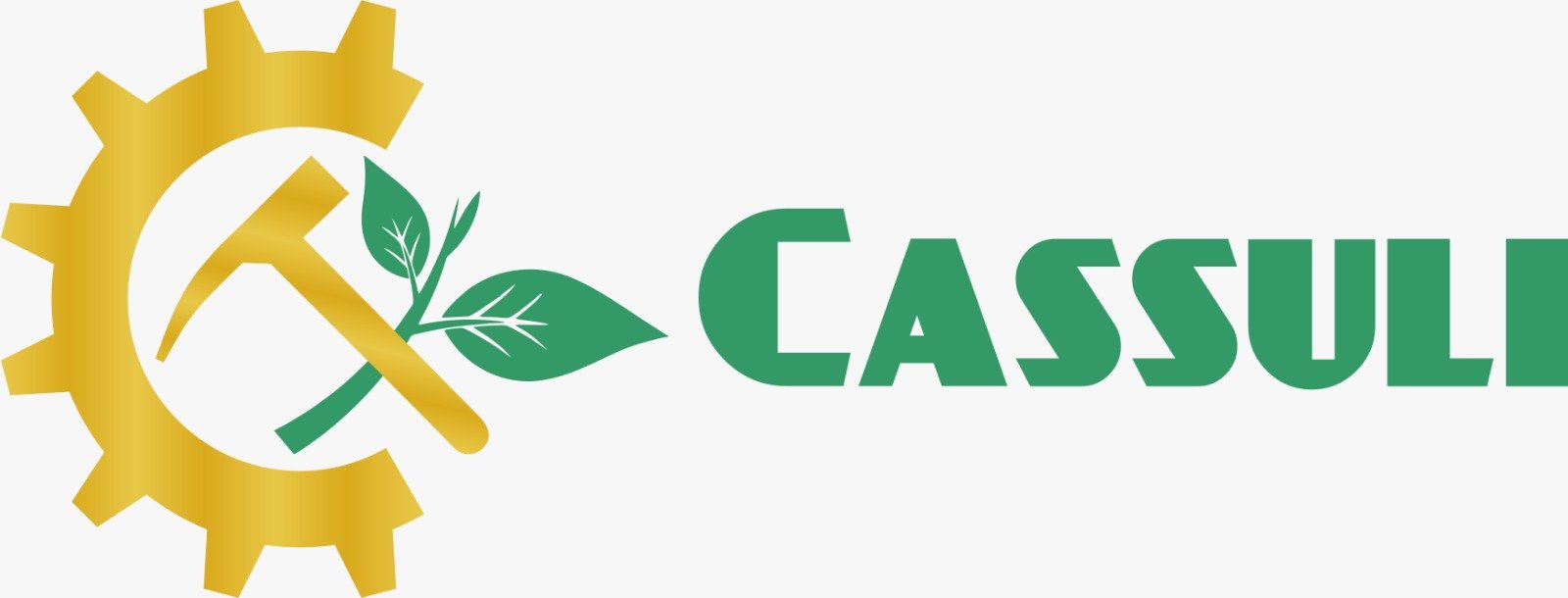 Cassuli Consultoria